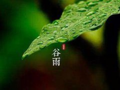 谷雨节气有什么特点 谷雨节气有几天