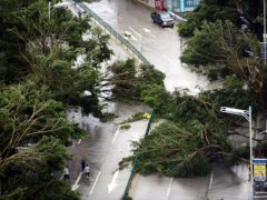 12号台风白海豚最新消息 12号台风最新消息 12号台风什么时候登陆