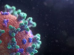 印度新冠病例超巴西成全球第二 印度疫情最新消息