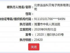 两家当当关联公司成为被执行人 当当两家关联公司成被执行人 成为被执行人的