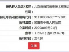 两家当当关联公司成为被执行人 当当公司目前现状