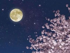 关于中秋节月亮的诗句 关于中秋节月亮的美句