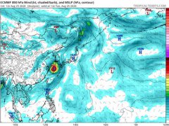 第九号台风最新消息路径图 九号台风动向最新消息 九号台风