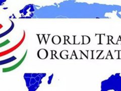 WTO推迟就新总干事人选做出决定 WTO推迟新总干事人选