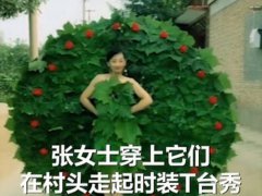 婆婆用树叶做衣服给儿媳村头走秀 用树叶做衣服村头走秀