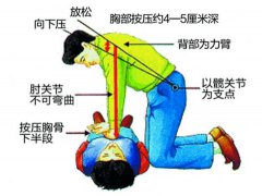 教育部将心肺复苏纳入教育内容 心肺复苏等急救知识将纳入学校教育内容