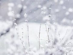 8月下雪是什么意思 8月份下雪有何征兆 8月份下雪好不好