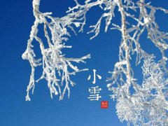 小雪节气养生吃什么 小雪节气养生食谱