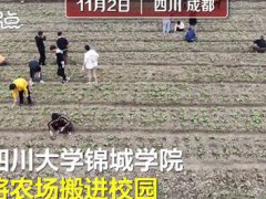 四川一高校将种田纳入必修课 学生拒绝种田会被开除吗