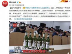 高校开设葡萄酒文化与鉴赏课 葡萄酒的鉴赏方法有哪些