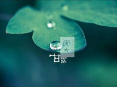 雨水节气一定下雨吗 雨水节气一般多少度