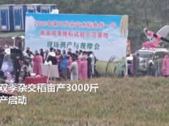 袁隆平团队双季稻亩产超过3000斤 袁隆平团队冲击双季稻亩产记录成功