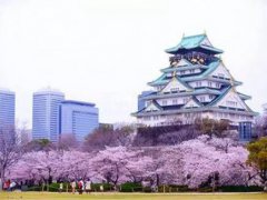 日本大阪市民投票反对废除大阪市 大阪繁华吗
