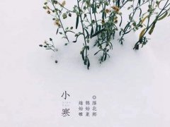 小寒节气可以结婚吗 小寒节气能结婚吗