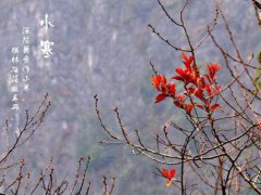 小寒节气养生食谱