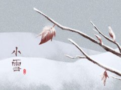 小雪是每年的几月几日 小雪是几月几号 小雪是农历几月几日