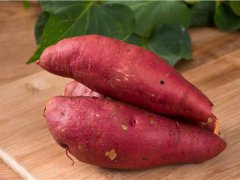 农业专家用牵牛花嫁接出空中红薯 嫁接蔬菜是转基因吗