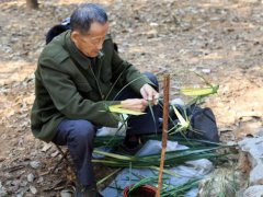 七旬老人用棕叶编出花鸟鱼虫 棕叶子是什么叶子