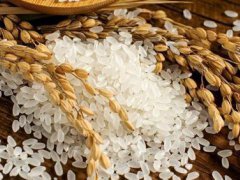 巴西总统建议民众去邻国买米 国内大米价格走势