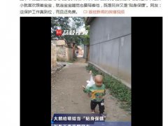 大鹅给1岁萌娃当贴身保镖 鹅当宠物好养吗