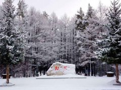 漠河降雪量已达入秋最大级别 漠河降雪量达最大