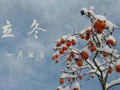 立冬节气特点介绍 立冬节气特点是什么 立冬节气有什么说法