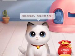 淘宝双十一养猫组队怎么退队 淘宝双十一养猫怎么踢人