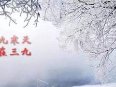 数九是从哪天到哪天 数九寒冬从什么时候开始 数九是哪一天