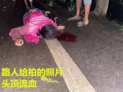 天降枯树枝砸死过路六旬老太 枯树枝砸死人谁的责任