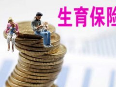 生育津贴政策最新 生育金报销新政策 生育险单位缴纳比例