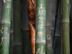 成都大熊猫基地景观竹遭游客刻划 成都大熊猫基地景观竹被刻字