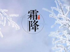 霜降是冬天还是秋天 霜降是冬天的开始吗 霜降是冬天的节气吗 霜降是什么意思