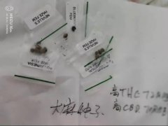 温州摧毁用虚拟币交易贩毒团伙 浙江温州摧毁一利用虚拟币交易贩毒团伙