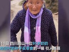 95岁奶奶赶集给40岁孙子买零食