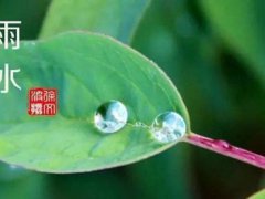 雨水节气的由来 雨水节气是怎么来的