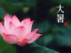 大暑节气发朋友圈的句子 适合大暑发的朋友圈