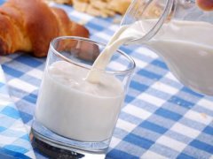 减肥期间可以喝牛奶吗 减肥喝牛奶会胖吗