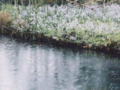 下雨天的心情经典句子 下雨天说说心情