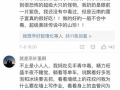 见手青小人什么样子 见手青小人跳舞