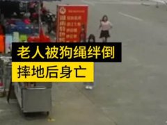 被狗绳绊倒身亡老人亲友发声 老人被狗绳绊倒身亡初步判断为意外事件