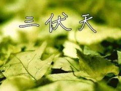 三伏天针灸有什么好处 三伏天针灸好还是艾灸好 三伏天针灸拔罐效果好吗