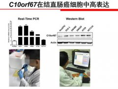 小学生研究癌症获奖组委会回应 研究癌症获奖小学生实验记录引争议