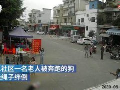 老人被狗绳绊倒摔地后身亡 狗主人带狗逃离现场