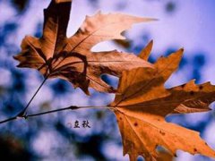立秋节气的含义是什么 立秋是什么意思含义