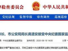 上海市副市长市公安局局长被查 上海市副市长被查