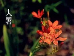 大暑节气的含义是什么意思