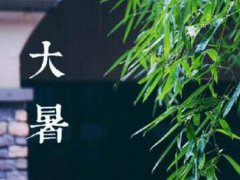 大暑是几月几日 大暑是入伏第一天吗
