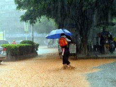 为什么雨水特别多 今年为什么这么多雨