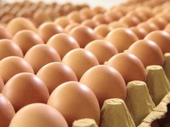 鸡蛋价格半年降近3成 鸡蛋行情走势分析