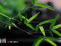 梅雨季节持续多长时间 梅雨季节什么时候开始 梅雨季节什么时候结束